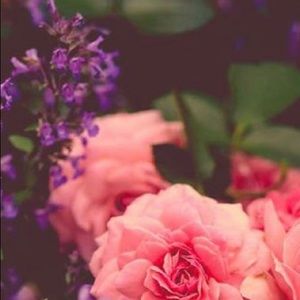 Meet your Posher, Daisy